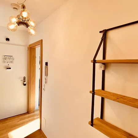 Appartement Modern Mountain Directly By Skiing Area Rauris