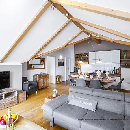 Modern Mountain Directly By Skiing Area * Rauris