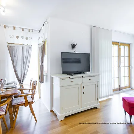 Modern Mountain Directly By Skiing Area Appartement *
