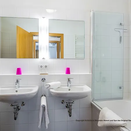 Appartement Modern Mountain Directly By Skiing Area Rauris
